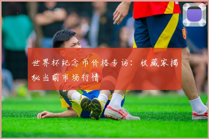 世界杯纪念币价格专访:收藏家揭秘当前市场行情