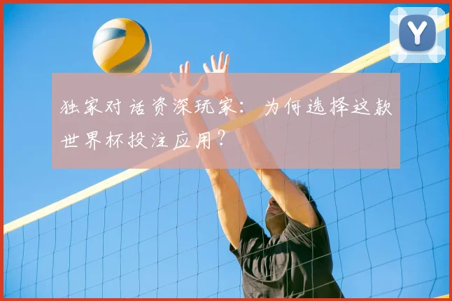 独家对话资深玩家:为何选择这款世界杯投注应用?