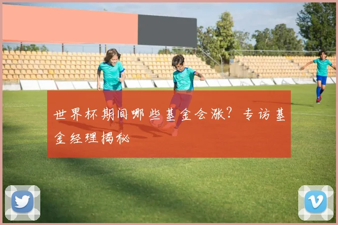 世界杯期间哪些基金会涨？专访基金经理揭秘