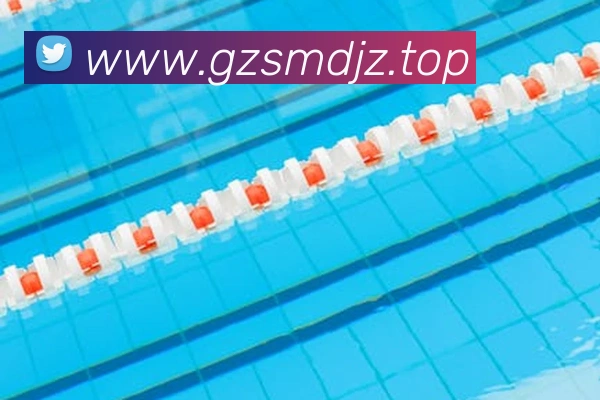 fb体育平台生态图