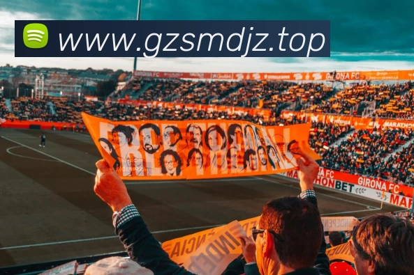 fb体育APP 封面图